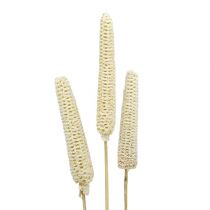 Kolby kukurydzy bielonej na patyku 20szt