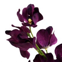 Mokara orchidea fioletowa 50cm sztuczna 6szt