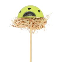 Produkt Biedronka ozdobne kwiatki w kolorze drewna 3,5cm 24 szt