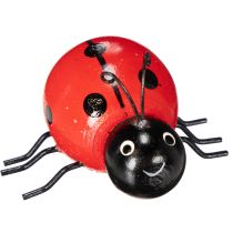 Produkt Drewniane biedronki/robaczki przynoszące szczęście jako urocza dekoracja do domu, 5 cm, 6 sztuk