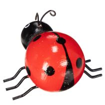 Produkt Drewniane biedronki/robaczki przynoszące szczęście jako urocza dekoracja do domu, 5 cm, 6 sztuk