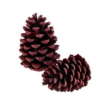 Produkt Szyszki Maritima 10-15cm czerwone matowe 12 szt