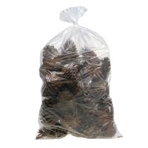 Produkt Szyszki Maritima 14/18 naturalne 25 szt