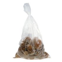 Produkt Rożki Maritima kremowo-waniliowe mieszane 5-18cm 25 szt.