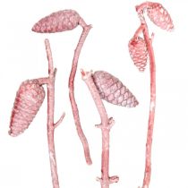 Szyszki morskie na gałązce różowe/białe woskowane 400g