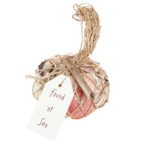Produkt Morska mieszanka muszli dekoracyjnych w siatce kolorowa 3,5-6cm 300g × 3szt