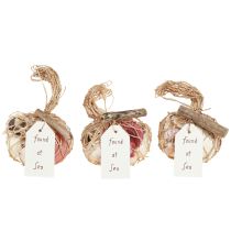 Produkt Muszle ozdobne morskie mix w siatce, kolorowe, 3,5-6 cm, 300 g × 3 szt.