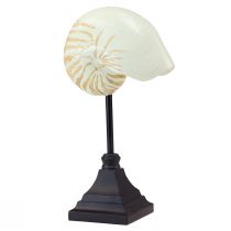 Produkt Morska rzeźba dekoracyjna muszla ślimaka z podstawą 30,5cm