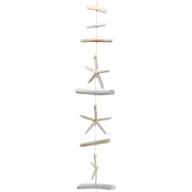 Driftwood Girlanda Muszle Dekoracja Rozgwiazda Morska 100cm