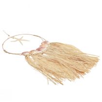 Produkt Morska dekoracja ścienna z prawdziwą rozgwiazdą Ø26,5cm W65cm