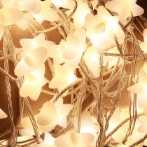 Produkt Wróżki LED Micro Cluster gwiazdki 120 LED 300cm