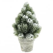 Mini choinka w doniczce sztucznie naśnieżana Ø14cm W24cm