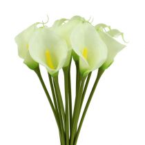 Produkt Mini kalia sztuczna biała L 28cm 12 szt