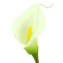 Produkt Mini Calla sztuczna biała L 28cm 12szt