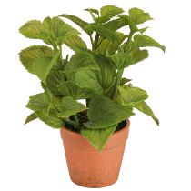 Produkt Mięta w doniczce Sztuczne zioła Sztuczne rośliny 18cm 2szt