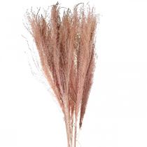 Produkt Sucha trawa długa różowa trawa piórkowa deco Miscanthus 75cm 10szt