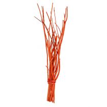 Mitsumata gałęzie pomarańczowe 34-60cm 12szt.