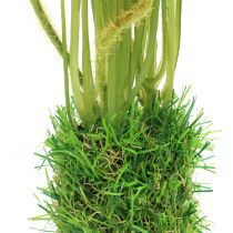 Produkt Mak czerwony w trawie 23cm