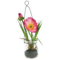 Produkt Kwiat maku w szkle do powieszenia różowy H22cm