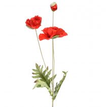 Produkt Mak dekoracyjny kwiat ogrodowy z 3 kwiatami czerwony L70cm