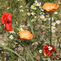 Produkt Palik do kwiatów maku, ceramiczny kwiat, starannie wykonany, do eleganckich akcentów ogrodowych, 42 cm, 4 sztuki