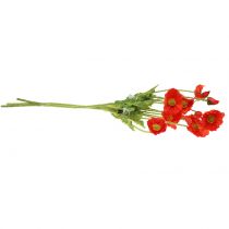 Produkt Mak pomarańczowy 60cm 3szt