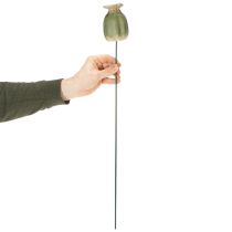 Produkt Ozdoby ogrodowe w kształcie palików z makiem do uroczych aranżacji ogrodowych 60 cm 2 szt.