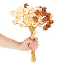 Produkt Suszone sztuczne strąki maku, bukiet trzech kolorów, 40cm, 45 sztuk