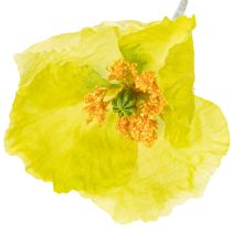 Produkt Sztuczny mak dekoracyjny do salonów i biur, 95cm