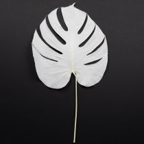 Produkt Liście Monstera bielone dekoracyjne na okno wys. 40cm 5 szt.