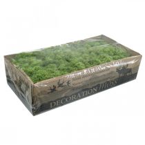 Produkt Moss Islandzki zielony mech 400g