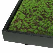 Produkt Fototapeta mech w zielonej ramie 60x30cm Dekoracja ścienna z mchu