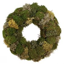 Produkt Wianek dekoracyjny z mchu jeżowego i mchu szmacianego naturalnego Ø42cm