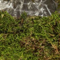 Produkt Doniczka dekoracyjna z mchu, kształt półksiężyca, metalowa podstawa, naturalna dekoracja do salonu i na uroczystości, 40×15×30 cm