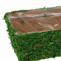 Planter Moss Green 20×10cm H9cm