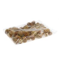 Produkt Krem z szyszek Sabulosum 500g