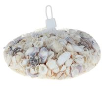 Produkt Dekoracja muszlowa mini sercówki muszle ślimaka 1–3 cm 340 g