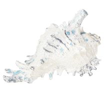 Produkt Muszla dekoracyjna ślimak morski sztuczny niebiesko-biały 11,5/13 cm 2 szt.