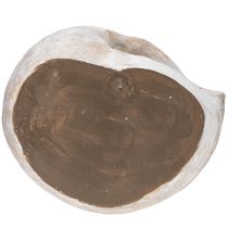 Produkt Dekoracyjny pojemnik w kształcie ślimaka do aranżacji ściennych w stylu marynistycznym i naturalnym, szary, 21 cm