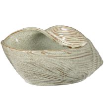 Produkt Ceramiczna miska z motywem muszli, elegancka dekoracja salonu, 23 cm
