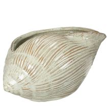 Produkt Ceramiczna miska z motywem muszli, elegancka dekoracja salonu, 23 cm