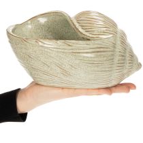 Produkt Ceramiczna miska z motywem muszli, elegancka dekoracja salonu, 23 cm