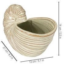 Produkt Ceramiczna doniczka z motywem ślimaka do wyjątkowych kompozycji roślinnych, 21 cm