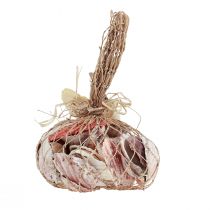 Produkt Ozdoba z muszli prawdziwe muszelki różne rodzaje 300g