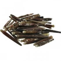 Produkt Muszle dekoracyjne Kolce jeżowca, kolce jeżowca, dekoracja morska L3–8cm 450g