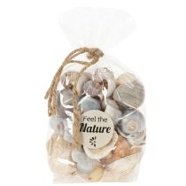 Produkt Ślimaki i muszle - Morskie akcenty dekoracyjne do wyjątkowego upiększenia pomieszczenia - 500g