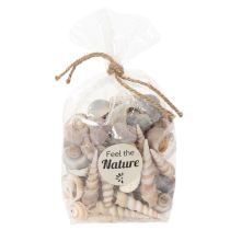 Produkt Muszle i ślimaki Naturalne, morskie dekoracje do stylowych wnętrz 500g