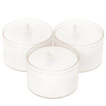 Produkt Podgrzewacze nocne, białe, w plastikowej tacce, 8 godzin, 50 sztuk