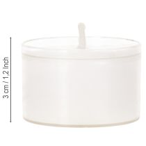 Produkt Podgrzewacze nocne, białe, w plastikowej tacce, 8 godzin, 50 sztuk
