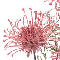 Produkt Sztuczna igielnica kwiatowa protea gałązka kwitnąca 65cm 3szt